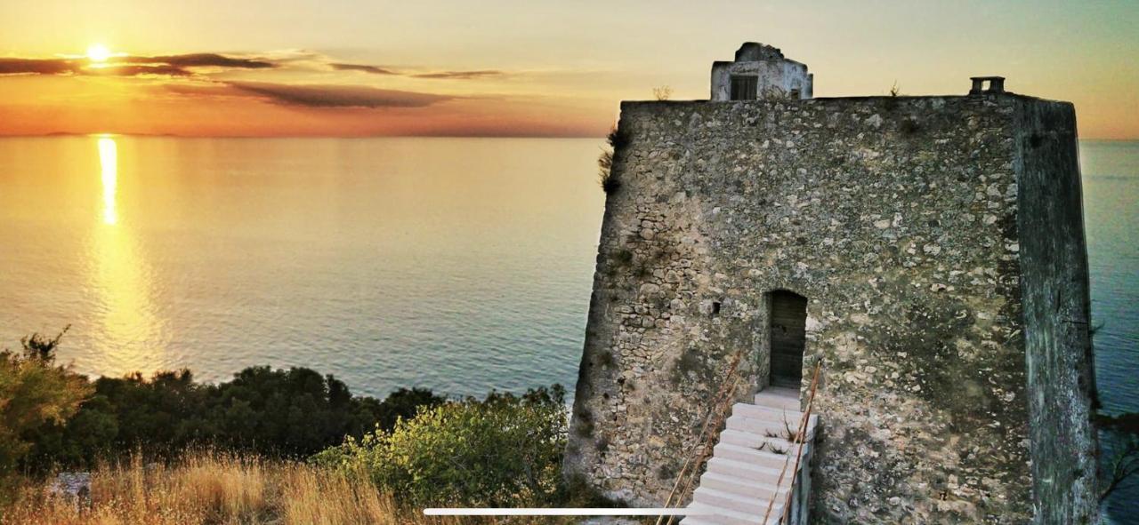 Villa Pineta San Menaio Exterior foto