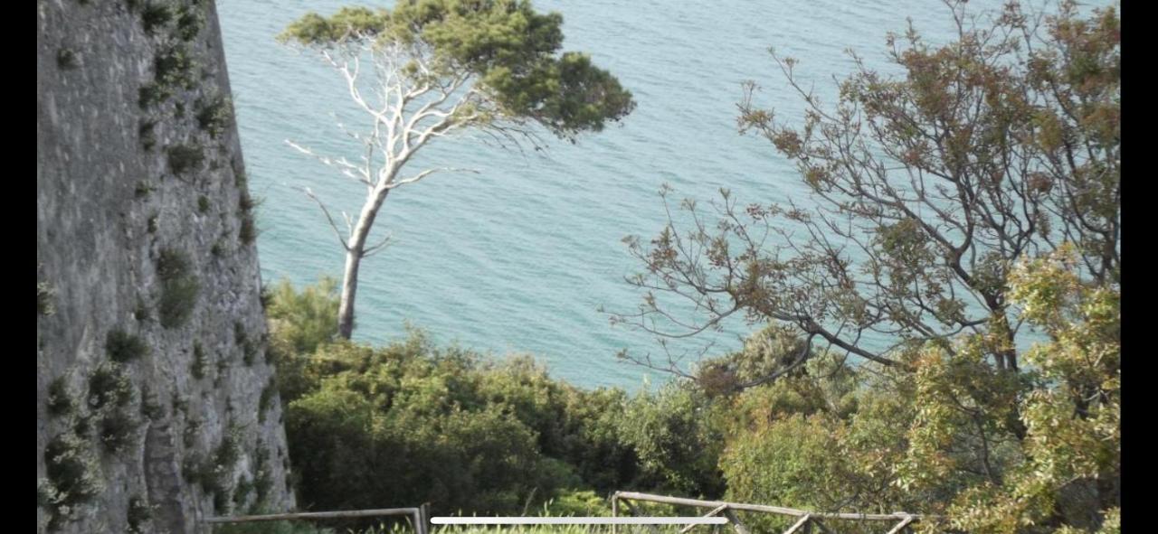 Villa Pineta San Menaio Exterior foto